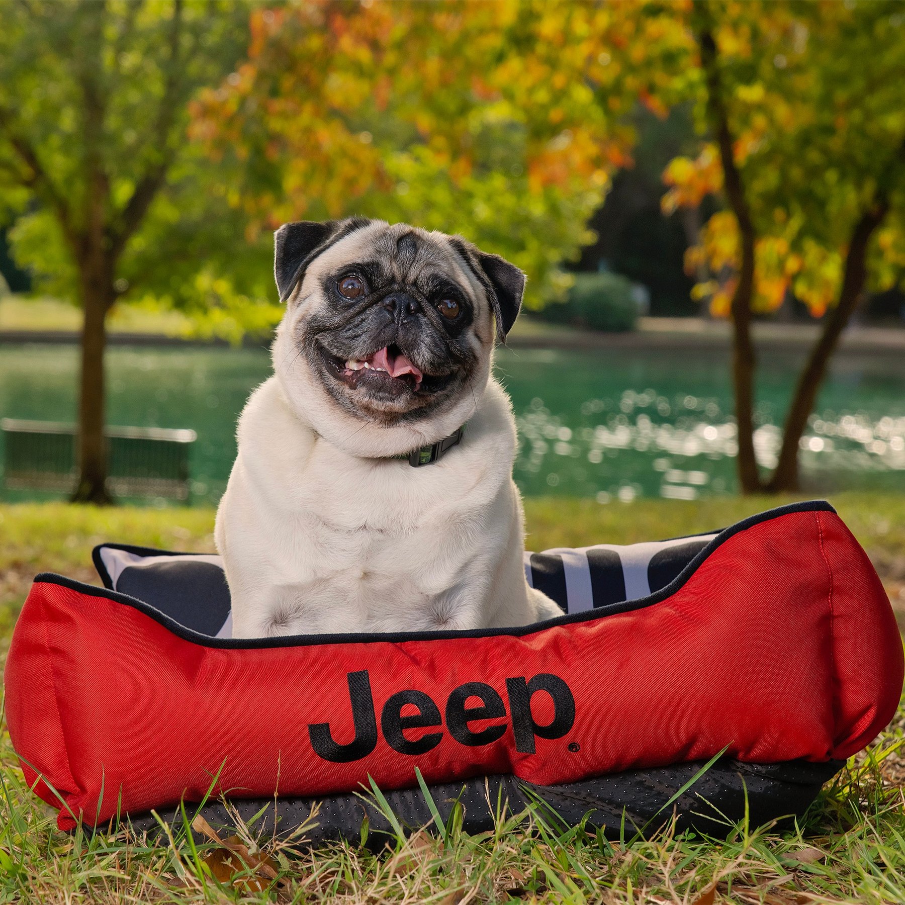 Jeep Grille & Headlights Cuddler Orthopedic Elevated Cat & Dog Bed, Red, Small