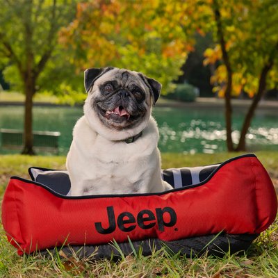 Jeep Jeep Grille & Headlights Cuddler Orthopedic Elevated Cat & Dog Bed, Red, Small