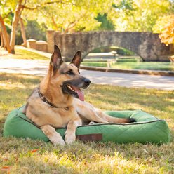 Jeep Quilted Canvas Low-Profile Orthopedic Bolster Cat & Dog Bed with Removable Cover, Green, Medium