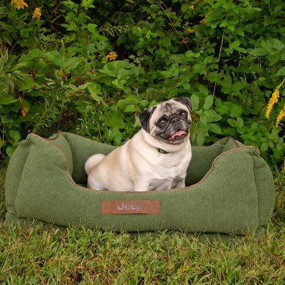 Jeep Jeep Orthopedic Cuddler Elevated Cat & Dog Bed with Removable Cover, Green, Medium