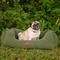 Show in main carousel: Jeep Orthopedic Cuddler Elevated Cat & Dog Bed with Removable Cover, Green, Medium slide 1 of 7