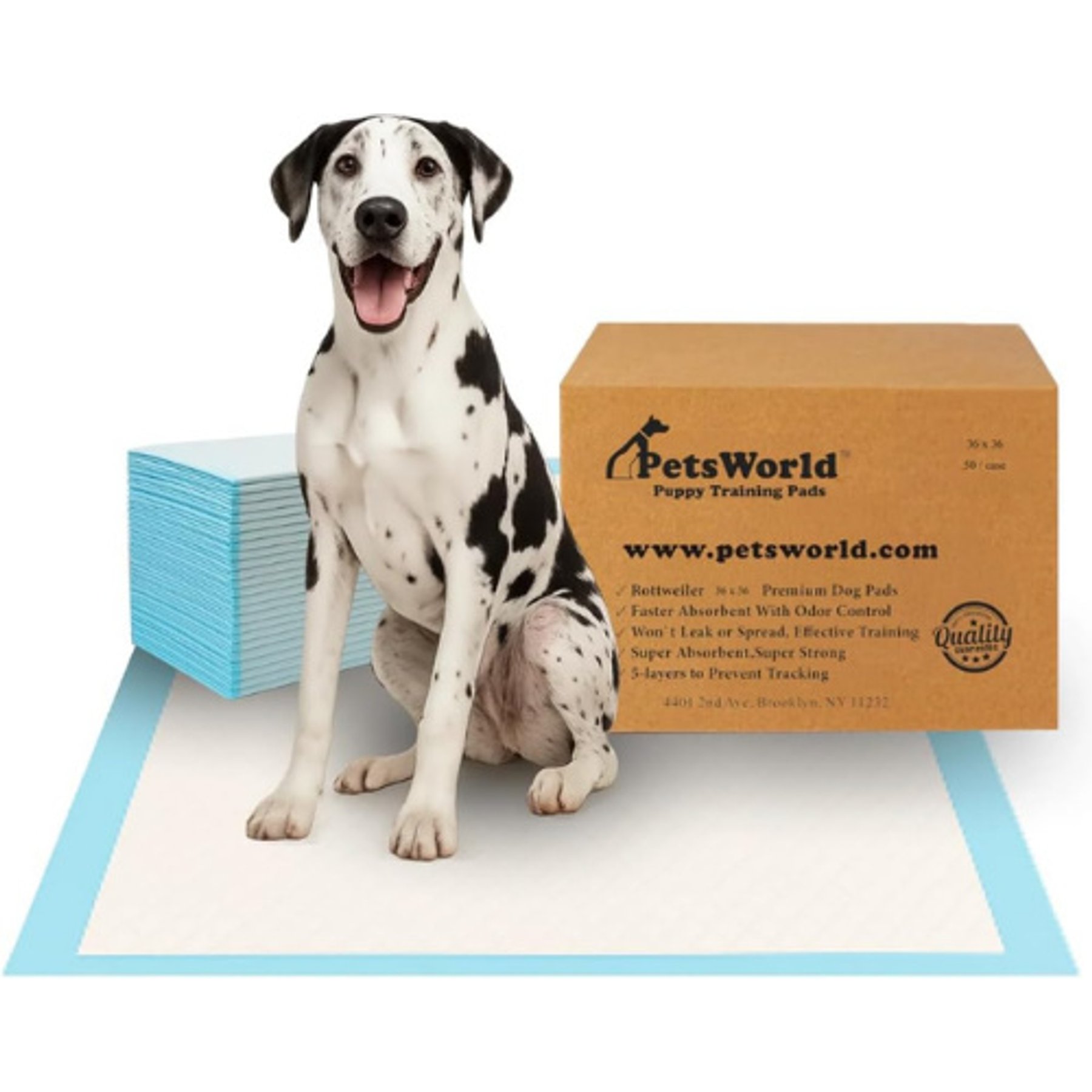 PetsWorld Gigantic Dog Training & Potty Pads, 36 x 36-in, Unscented, 50 count