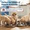 Show in main carousel: Pacific Pups Rescue Non-Skid & Non-Slip Grip Stainless Steel Litter Slow Feeder Puppy Bowl, 5-cup, 11.8-in, 2 count slide 7 of 7