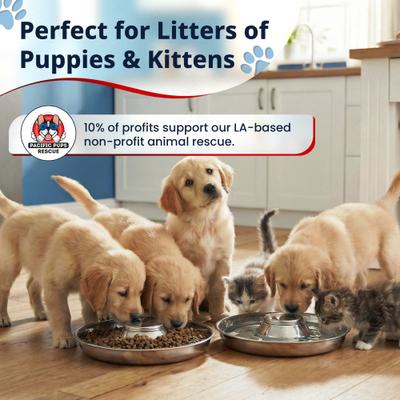 Show full view: Pacific Pups Rescue Non-Skid & Non-Slip Grip Stainless Steel Litter Slow Feeder Puppy Bowl, 5-cup, 11.8-in, 2 count slide 7 of 7