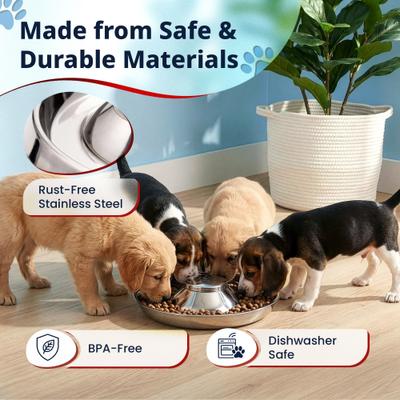 Show full view: Pacific Pups Rescue Non-Skid & Non-Slip Grip Stainless Steel Litter Slow Feeder Puppy Bowl, 5-cup, 11.8-in, 2 count slide 6 of 7