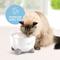 Show in main carousel: Catit Pixi Cat Drinking Fountain, Stainless Steel slide 4 of 9