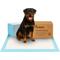 Show in main carousel: PetsWorld X-Large Dog Training & Potty Pads, 30 x 36-in, Unscented, 100 count slide 1 of 7