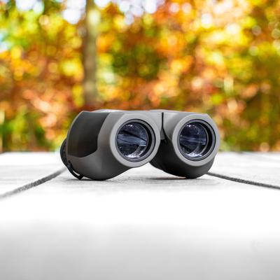 Show full view: Carson Scout Plus Compact & Lightweight JD-025 10 x 25-mm Magnification Porro Prism Binocular, Beige/Gray slide 4 of 7