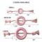 Show in main carousel: Pet Passion Tracker Tug Dog Toy, Blush, Medium slide 3 of 7