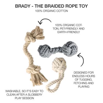 Show full view: Pet Passion Brady Braided Rope Tug Dog Toy, Sandy Chic, 3 count slide 2 of 6