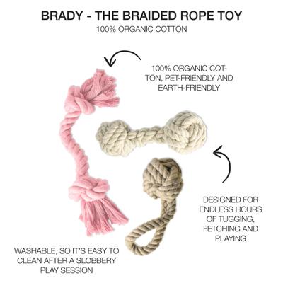 Show full view: Pet Passion Brady Braided Rope Tug Dog Toy, Pink Salt, 3 count slide 2 of 6