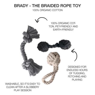 Show full view: Pet Passion Brady Braided Rope Tug Dog Toy, Black Ombre, 3 count slide 2 of 6