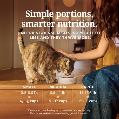 Show full view: Feline Natural New Zealand Lamb & King Salmon Feast Grain-Free Freeze-Dried Cat Food, 3.5-oz bag slide 7 of 10