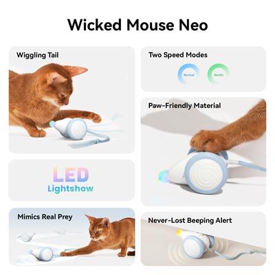 Show full view: Cheerble Wicked Mouse Neo Automatic Running Cat Toy, Blue slide 9 of 10