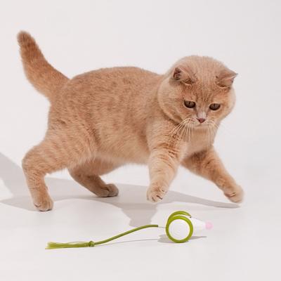 Show full view: Cheerble Wicked Mouse Neo Automatic Running Cat Toy, Green slide 9 of 10