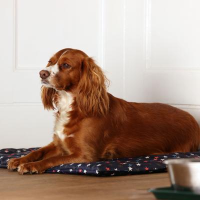 Show full view: Digby & Fox Waterproof Padded Dog Bed, Star, Small slide 9 of 9