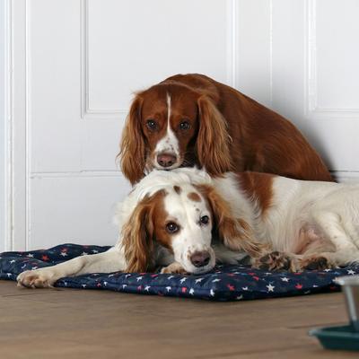 Show full view: Digby & Fox Waterproof Padded Dog Bed, Star, Small slide 8 of 9