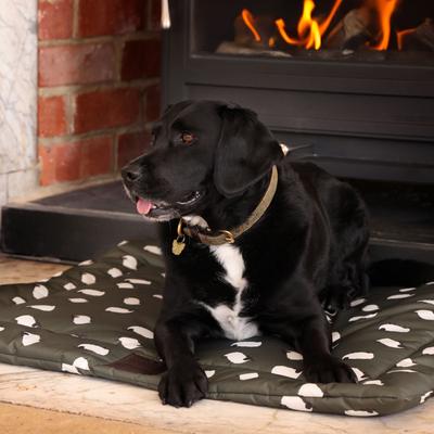 Show full view: Digby & Fox Waterproof Padded Dog Bed, Sheep, Small slide 9 of 9