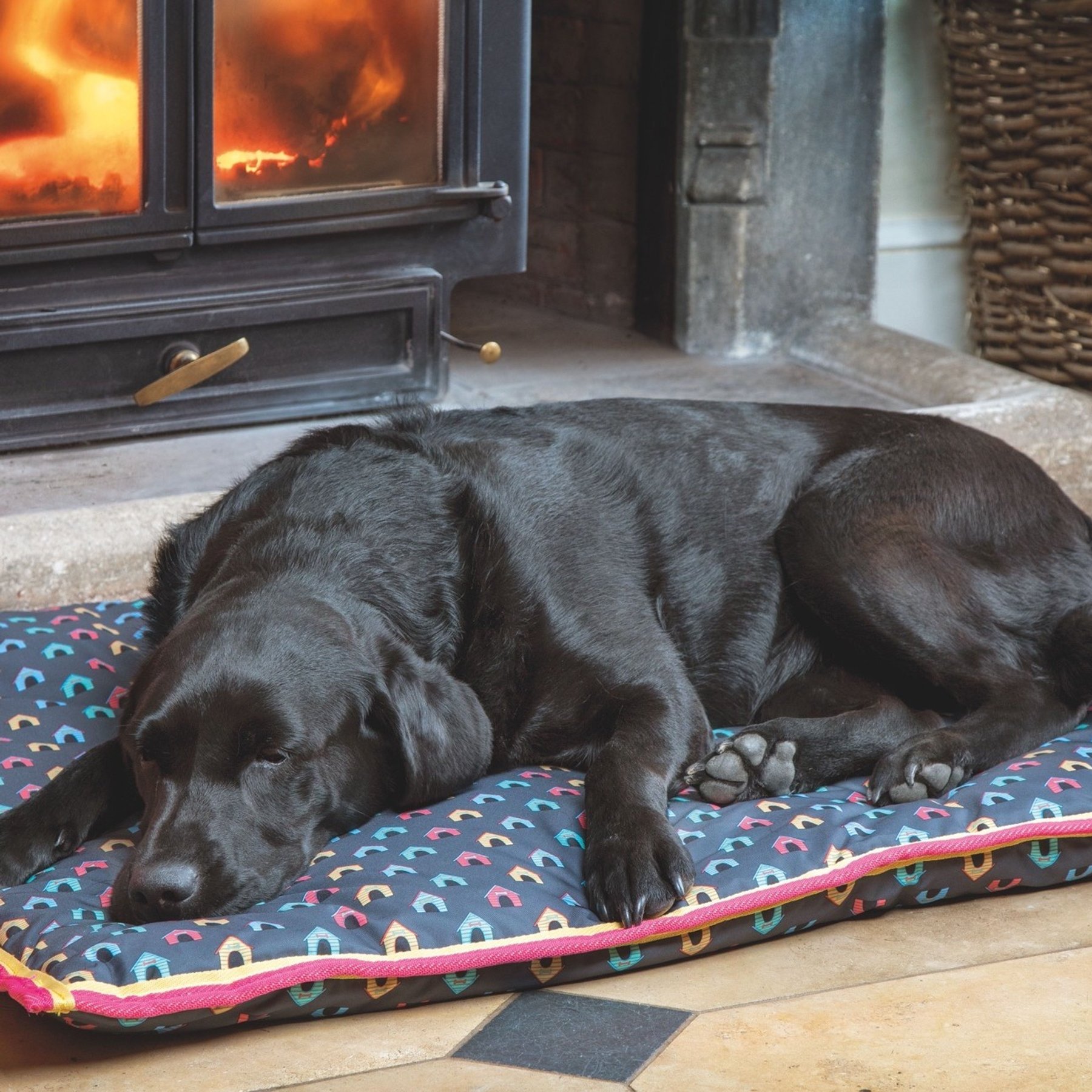 Digby & Fox Waterproof Dog Bed, Dog House, 24 x 31-in