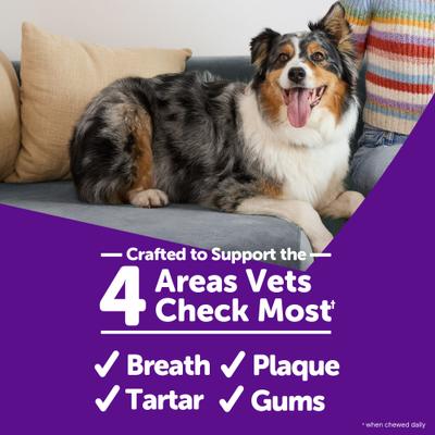 Show full view: WHIMZEES by Wellness Brushzees Dental Chews Natural Grain-Free Dental Dog Treats, Extra Small, 16 count slide 4 of 10