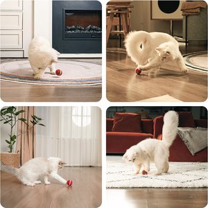 Cheerble Ball M3 Automatic Running & Bouncing Cat Ball Toy with Synthetic Fiber Shell, Vintage Red