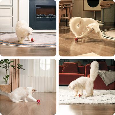 Show full view: Cheerble Ball M3 Automatic Running & Bouncing Cat Ball Toy with Synthetic Fiber Shell, Vintage Red slide 4 of 9