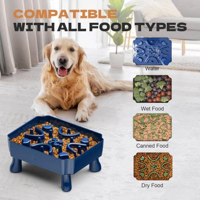 Show full view: UPSKY 2-in-1 Raised Non-Skid Plastic Slow Feeder Dog Bowl with Anti-Choking Maze Puzzle, Blue, 6-cup slide 7 of 9