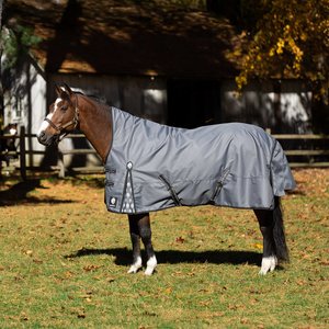 Equinavia Arktis Extended Neck Lightweight 100-g Horse Turnout Blanket, Charcoal Gray, 78-in