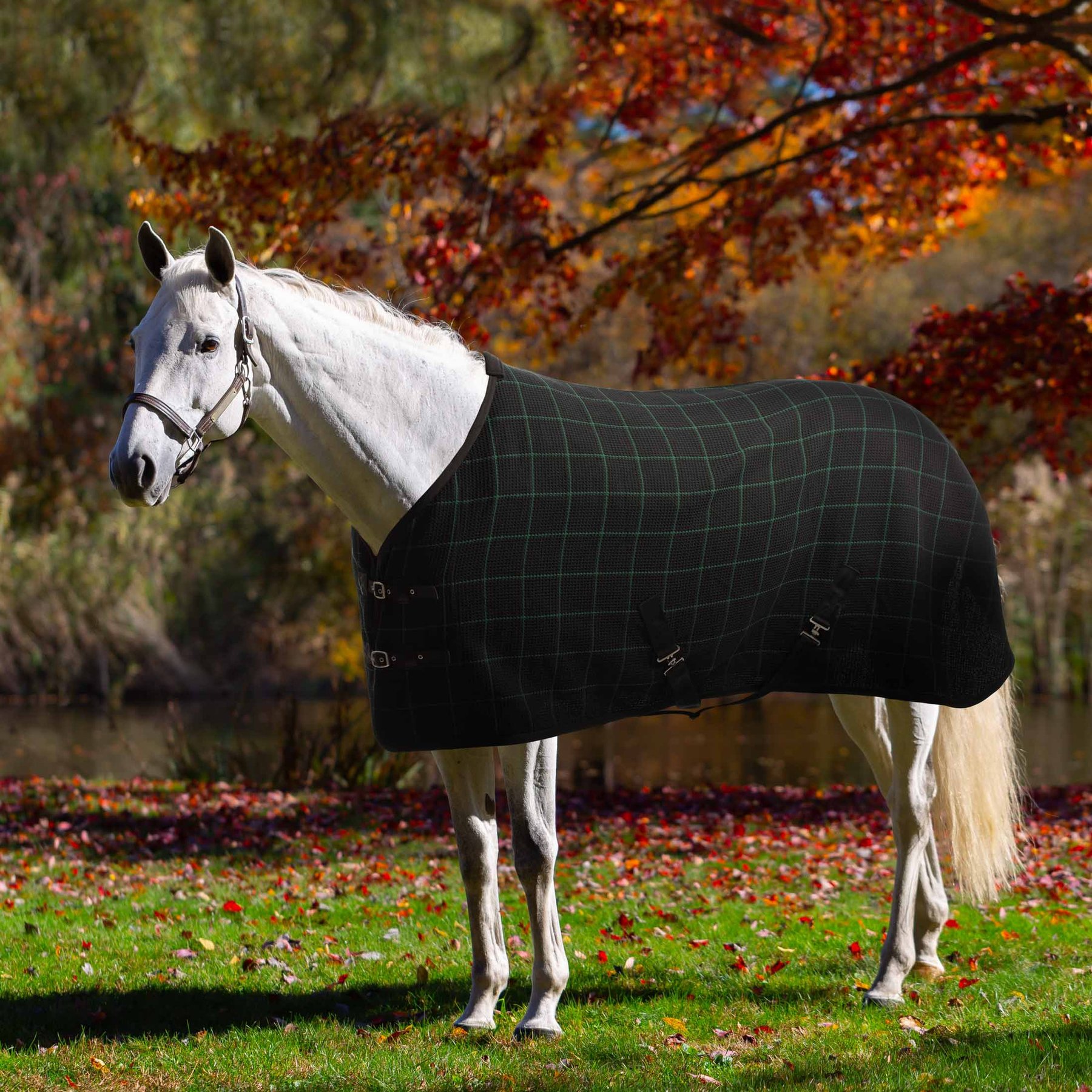 Equinavia Luftig Waffle Horse Cooler, Black/Hunter Green, 70-in