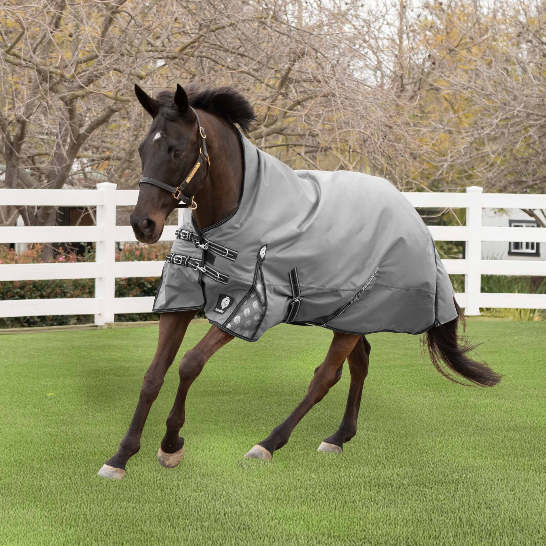 Equinavia Arktis Extended Neck Horse Turnout Sheet, Charcoal Gray, 81-in
