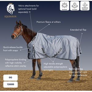 Equinavia Arktis Regular Neck Horse Turnout Sheet, Carbon Gray, 84-in