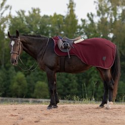 Equinavia Koselig Fleece Horse Quarter Sheet, Cranberry Red, Small