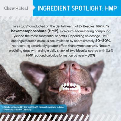 Show full view: Chew + Heal Advanced Dental Support Powder with 6 Active Ingredients Dental Supplement for Dogs, 4-oz jar slide 5 of 10