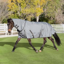 Equinavia Thunder 360 Detachable Neck Lightweight 100-g Horse Turnout Blanket, Pewter Gray, 78-in slide 2 of 7