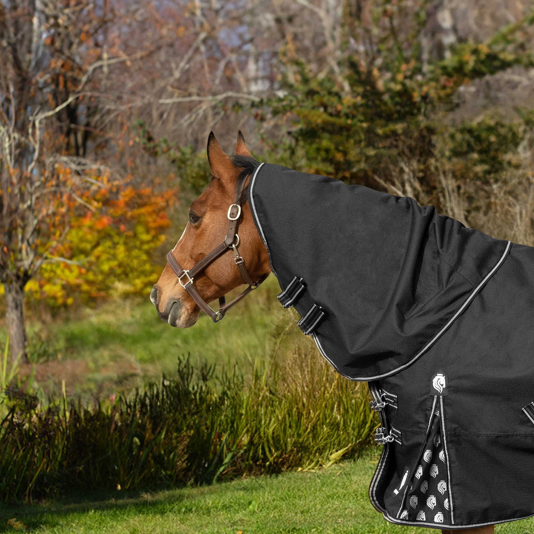 Equinavia Norse 200-g Horse Turnout Neck Cover, Black, Medium