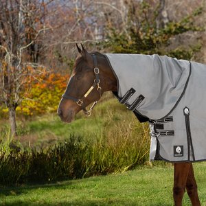 Equinavia Arktis No Fill Horse Turnout Neck Cover, Carbon Gray, X-Large