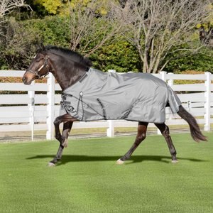 Equinavia Arktis Regular Neck Horse Turnout Sheet, Carbon Gray, 75-in