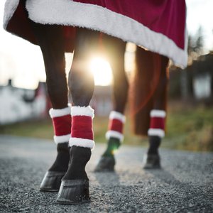 Horze Santa Horse Leg Wraps, 4 count