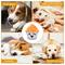 Show in main carousel: Petopia Cupcakes Tough Dog Chew Toy, Medium, White/Orange slide 8 of 10