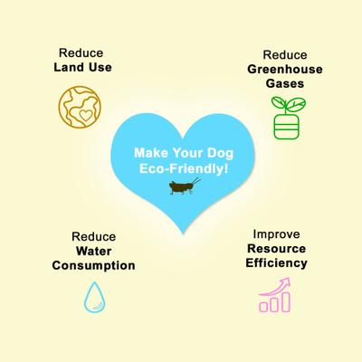 Show full view: Fabrechew Orange Joint Care Chew Stick Supplement for Dogs, 14 count slide 6 of 8