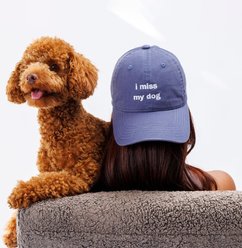 Both Tails I Miss My Dog Hat, Grey