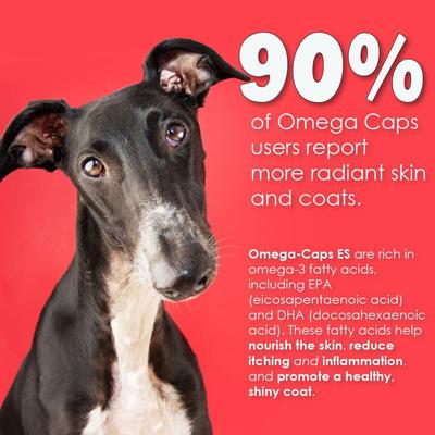 Show full view: Omega-Caps ES Liquid for Dogs & Cats, 8-fl oz bottle slide 6 of 10