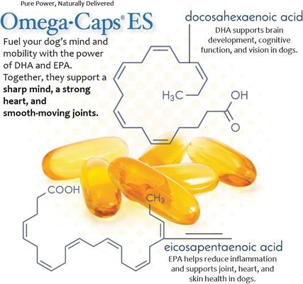 Show full view: Omega-Caps Extra Strength Skin Coat Joint Heart & Immune Health Softgel Capsules for Large Dogs, 60 count slide 8 of 12