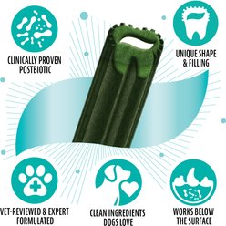 Dinovite Triple Action Oral Care Small Dog Dental Chew Treats, 1 count slide 2 of 9
