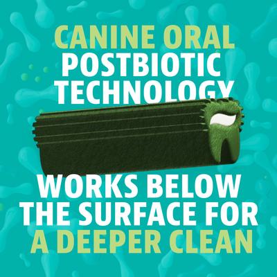 Show full view: Dinovite Dental Dog Chew Treats, Small, 1 count slide 10 of 10