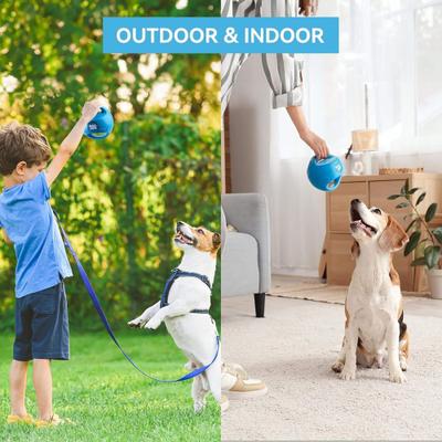 Show full view: allforpaws Wag Play Squeaky Rope Tug Ball Dog Toy, Blue, Medium: 5.5-in slide 7 of 8