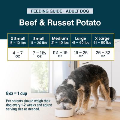 Show full view: JustFoodForDogs Pantry Fresh Beef & Russet Potato Fresh Dog Food, 12.5-oz pouch, case of 12 slide 10 of 12