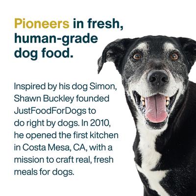 Show full view: JustFoodForDogs Joint & Skin Support Recipe Frozen Human-Grade Fresh Dog Food, 72-oz pouch, case of 7 slide 10 of 12