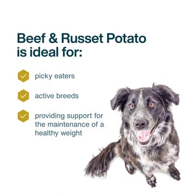 Show full view: JustFoodForDogs Pantry Fresh Beef & Russet Potato Fresh Dog Food, 12.5-oz pouch, case of 12 slide 4 of 12