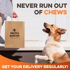 Brutus & Barnaby Long Lasting 5-in Gold Himalayan Yak Cheese Natural Dog Chew Treats, 6 count slide 2 of 9